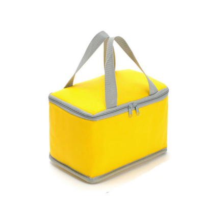 Factory Promotional Portable Wholesale Custom Insulated Non-Woven Food Cooler Bag